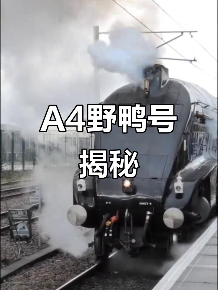 英国A4“野鸭号”的传奇故事
