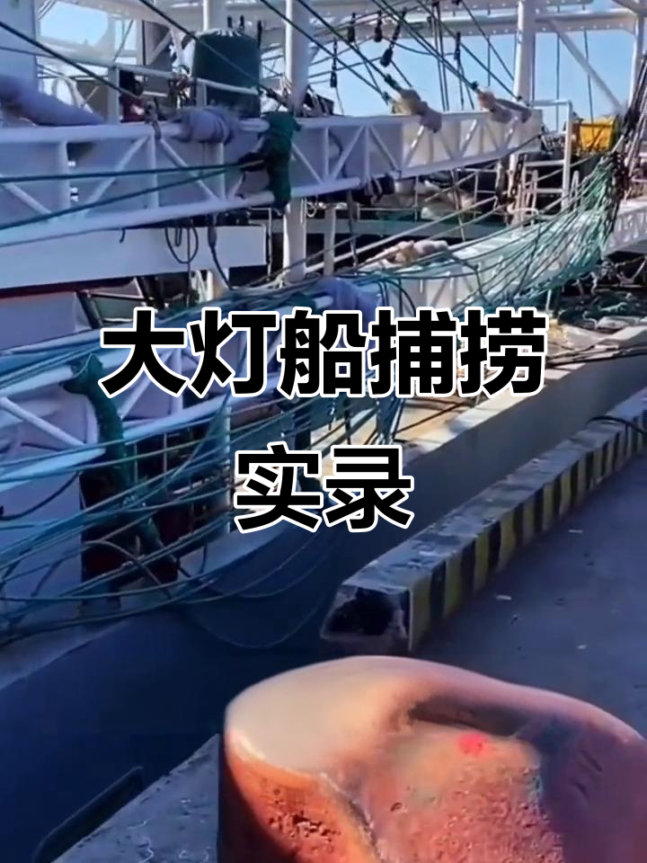 远洋大船捕鱼日常，灯光吸引鱼群，新手任务全解析