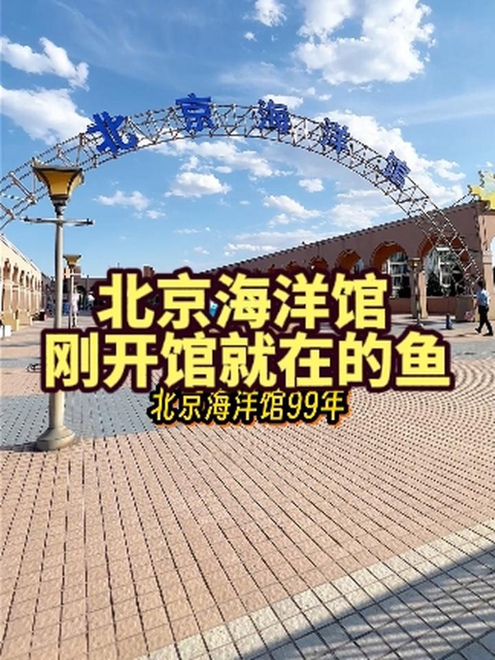 北京海洋馆99年刚开馆就存在的鱼 北京周末去哪儿