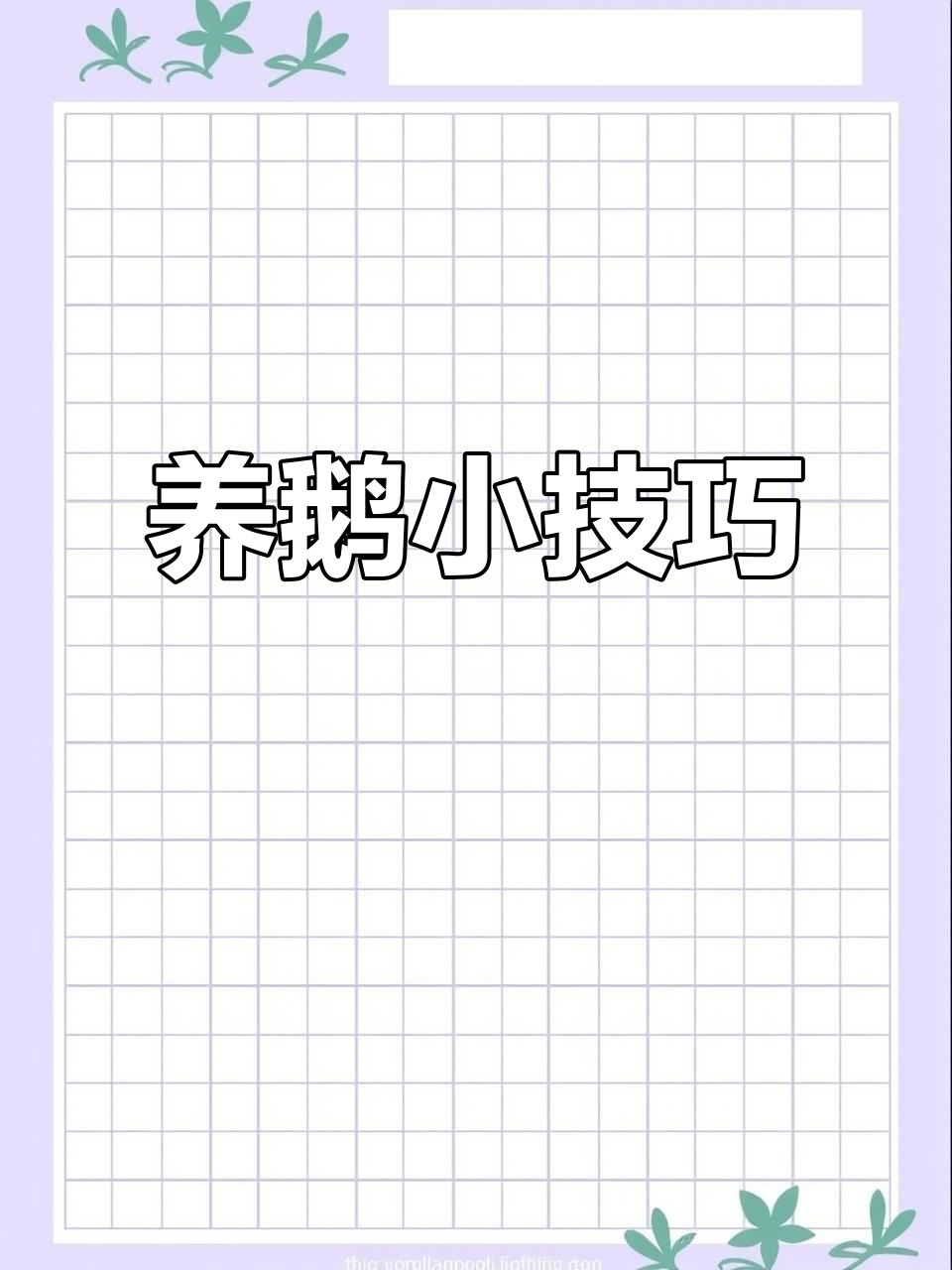 艾草生姜搭配,缓解鹅群受凉症状