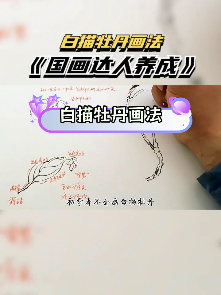 初学白描牡丹,从线条到造型轻松掌握