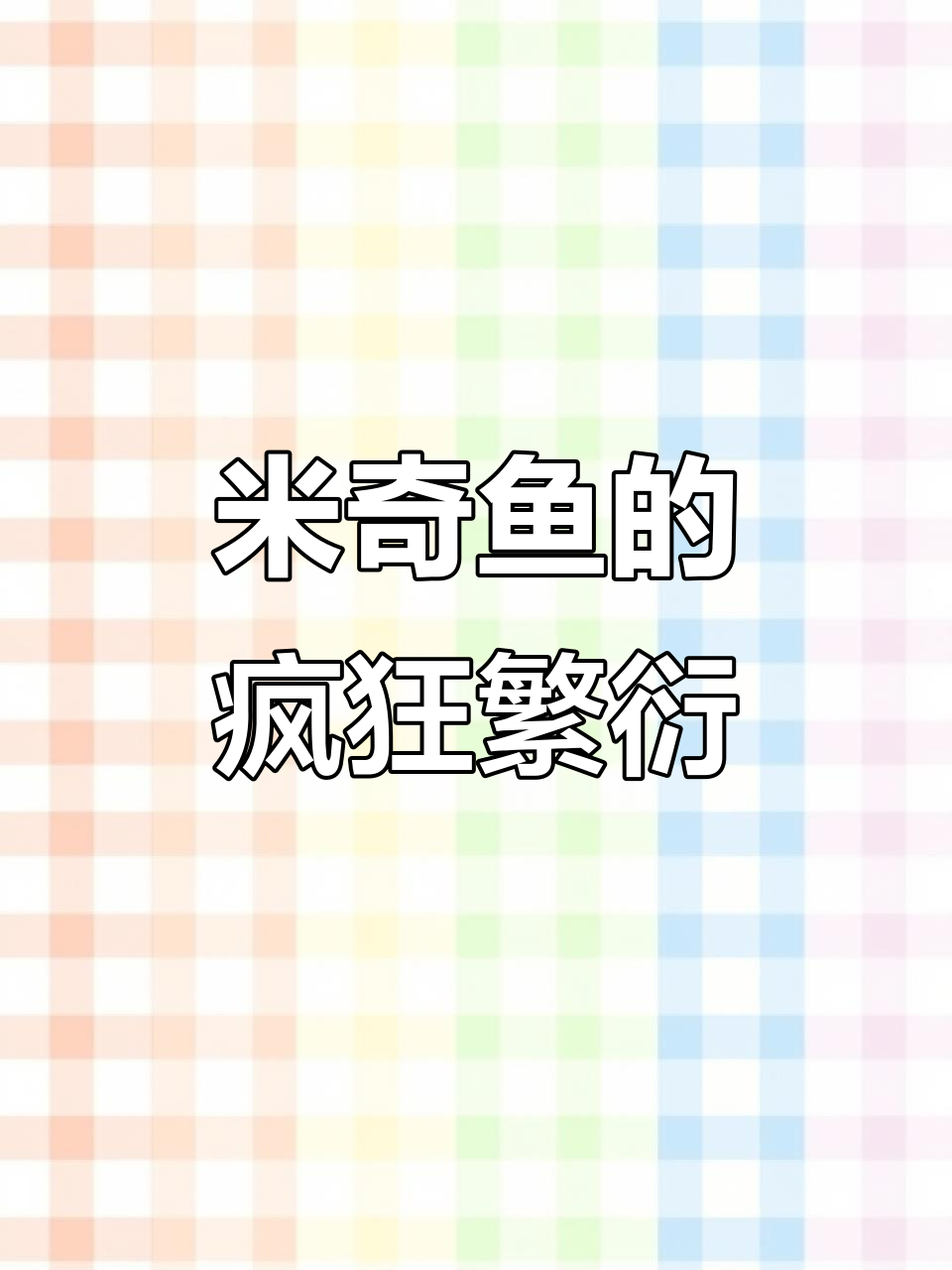 米奇鱼繁殖力惊人,一窝接一窝,养起来轻松又有趣!