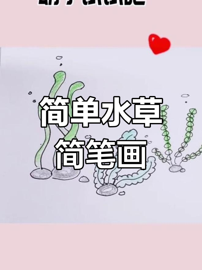 海底世界必备水草,轻松学画