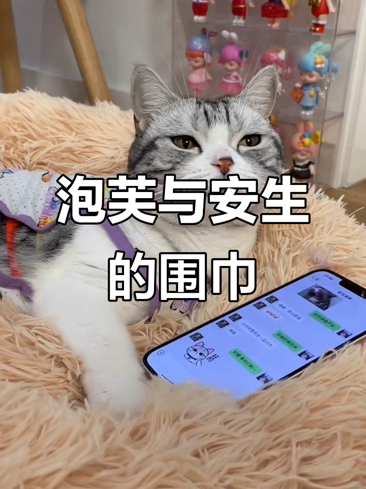 给泡芙和安生做情侣围巾,期待他们再次相遇