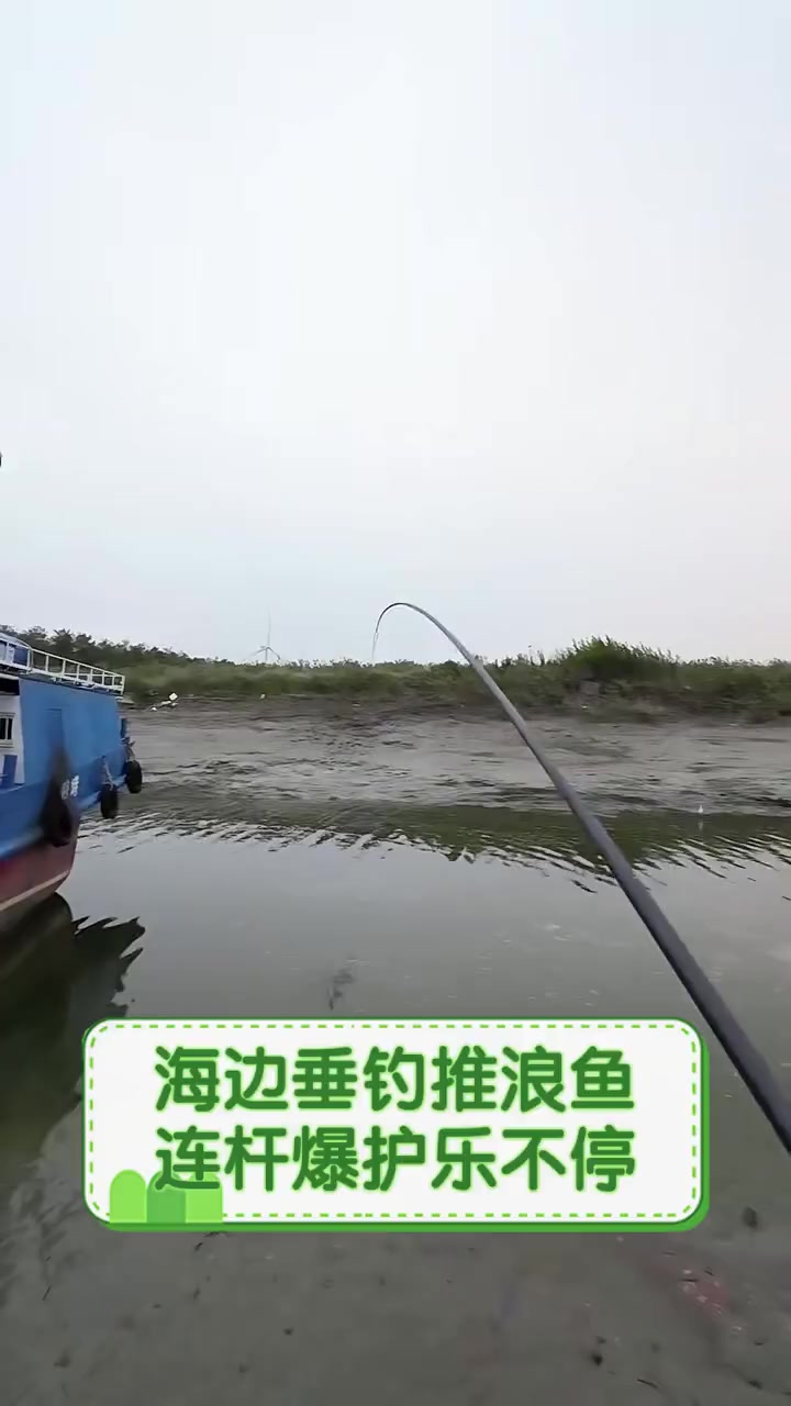 海边垂钓推浪鱼,连杆爆护乐不停