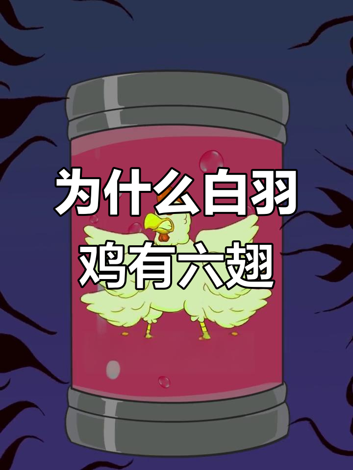 白羽鸡为何有六个翅膀?揭秘餐饮业背后的秘密