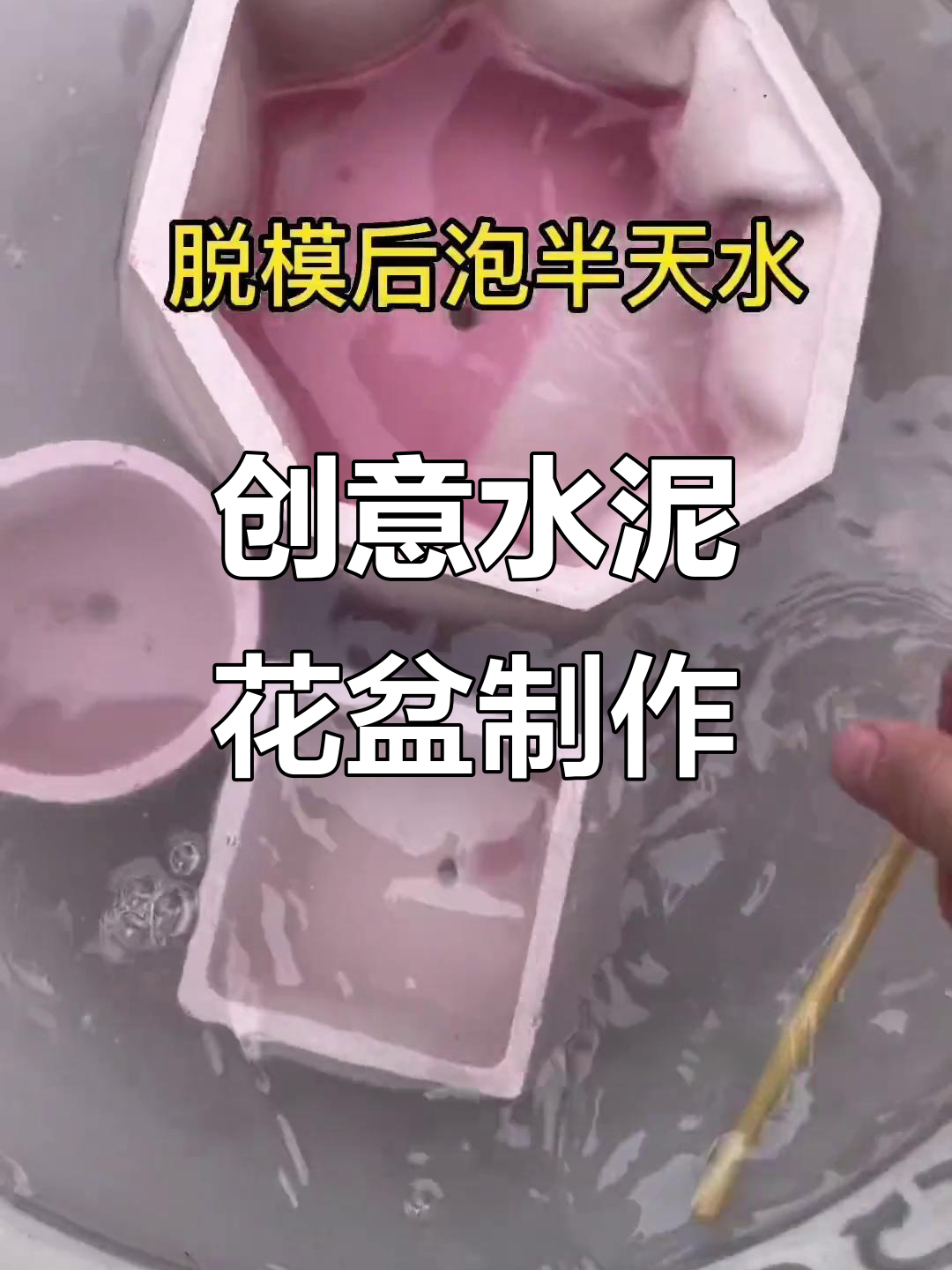 变废为宝：水泥花盆DIY，打造个性多肉植物容器