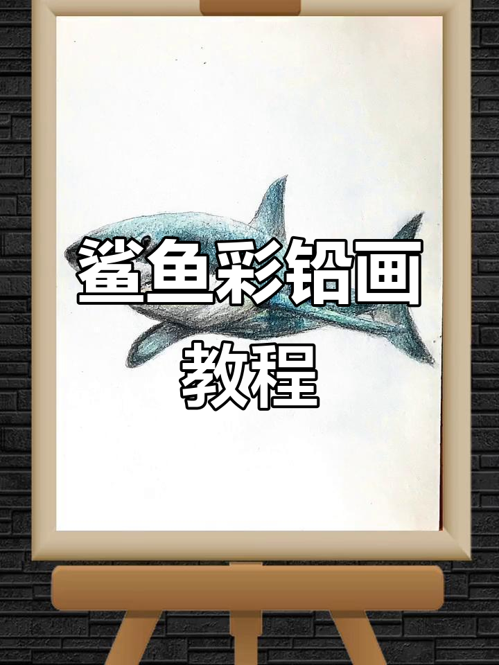 鲨鱼彩铅画步骤详解：从轮廓到细节的完美呈现