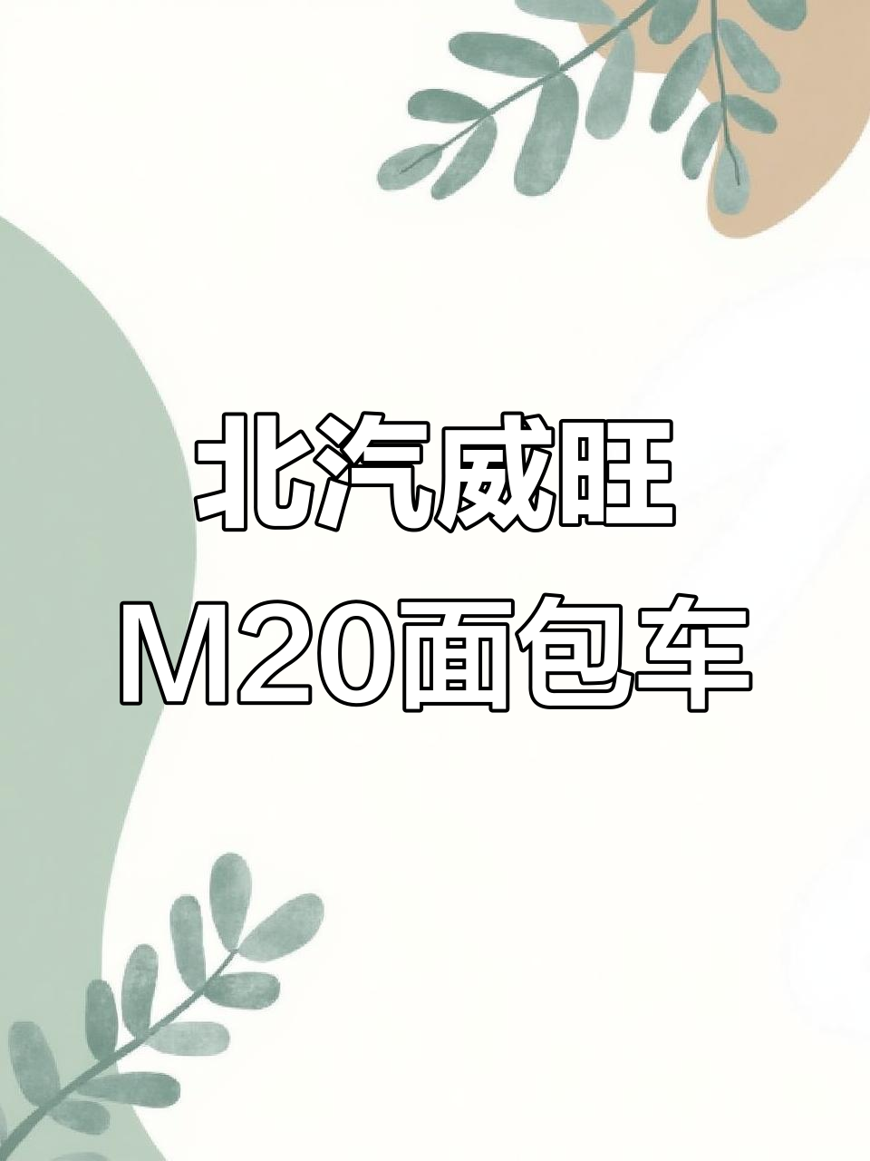 2016年北汽威旺M20：空间大动力足，创业首选