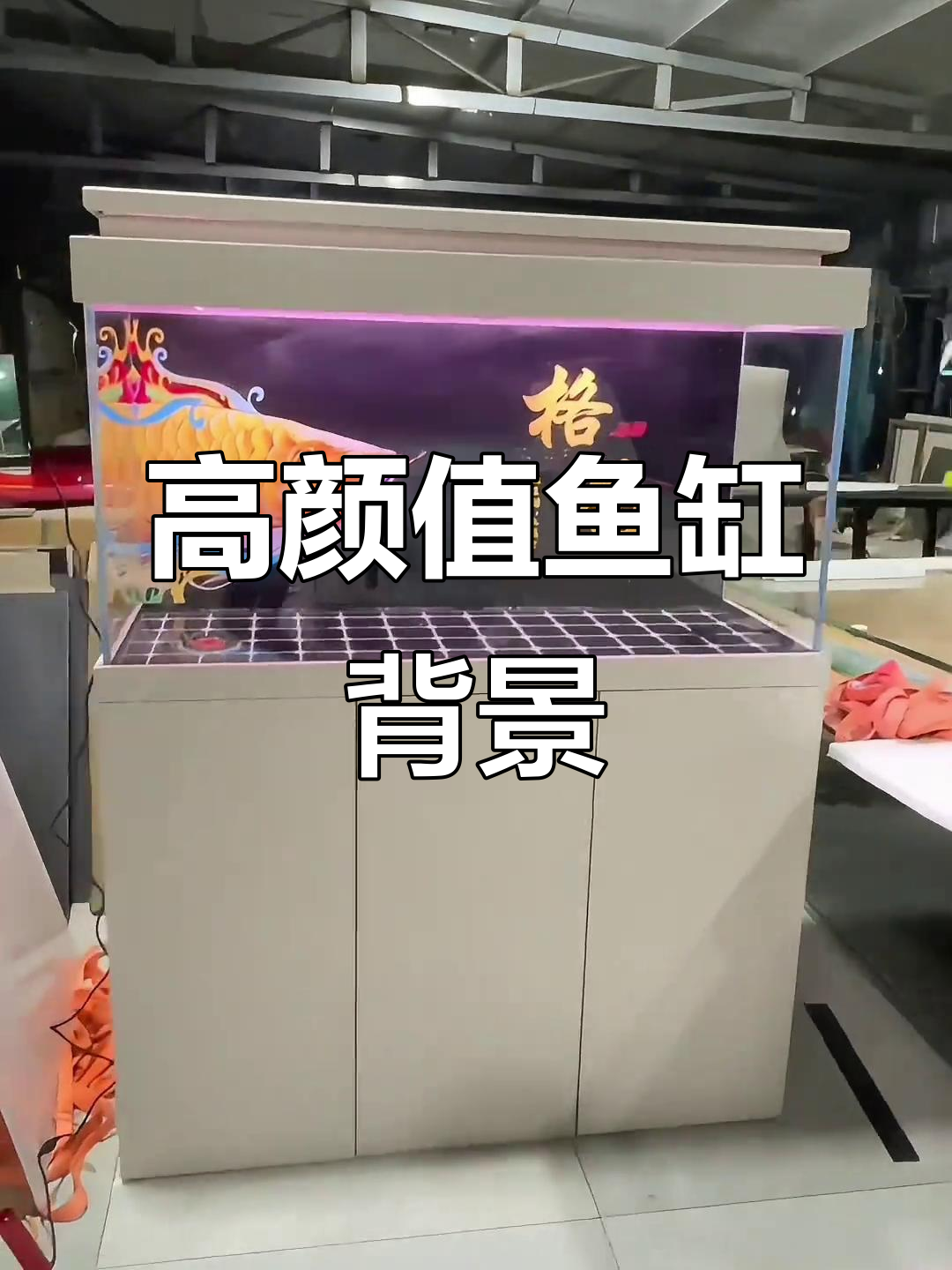 鱼缸背景画让龙鱼栩栩如生,高配过滤系统揭秘