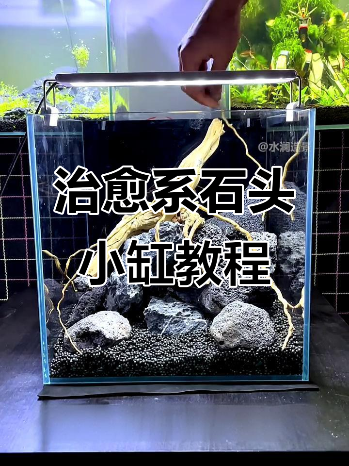 打造宫崎骏风格石头小缸,洞穴造景全攻略