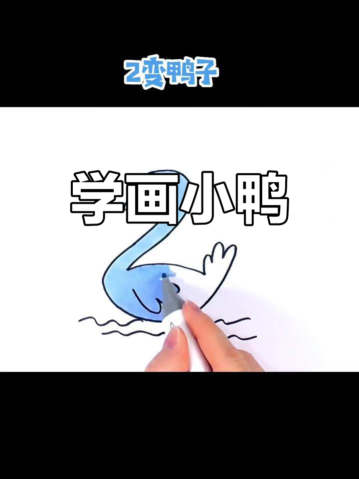 简笔画教程:鸭子大可成长记