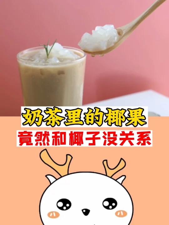 奶茶里的椰果,和椰子并没有关系