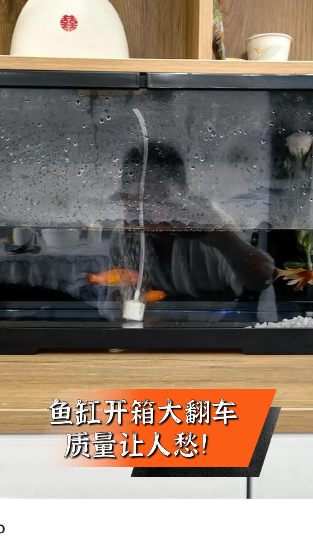 鱼缸开箱大翻车,质量让人愁!