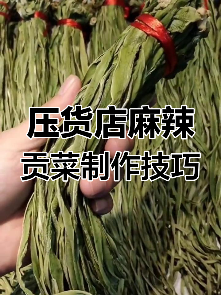 麻辣贡菜做法大揭秘,如何让口感更脆嫩