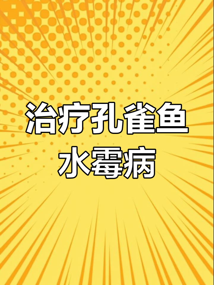 孔雀鱼水霉病的治疗与预防