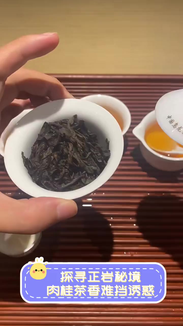探寻正岩秘境,肉桂茶香难挡诱惑