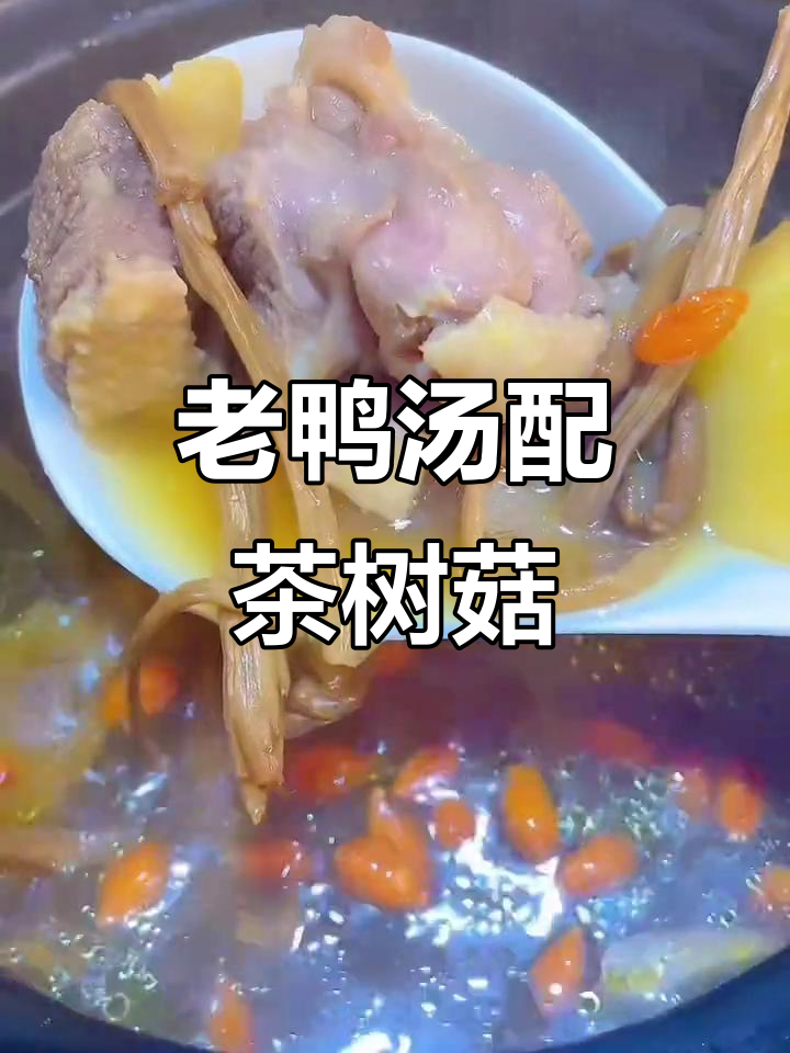 茶树菇老鸭汤,简单食材炖出浓郁鲜香