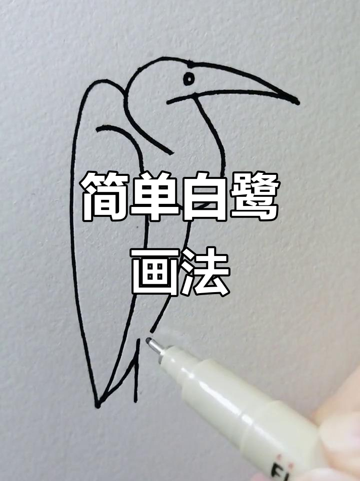 白鹭简笔画教程，零基础轻松学
