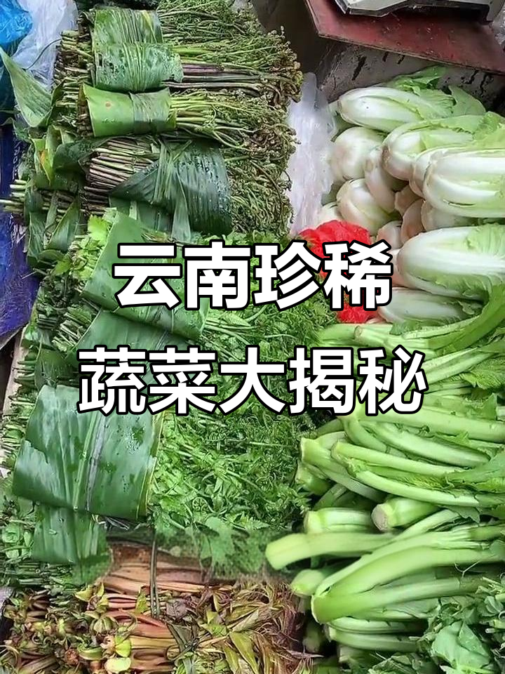 云南的野生美味,比肉还珍贵!这些菜你尝过吗?