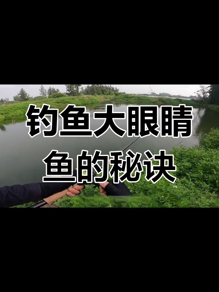 大眼睛鱼钓法揭秘,轻松掌握技巧