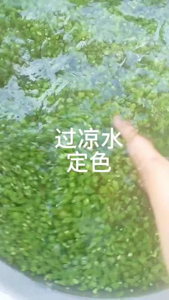 豆角馅包子，炒馅做法，手把手教学