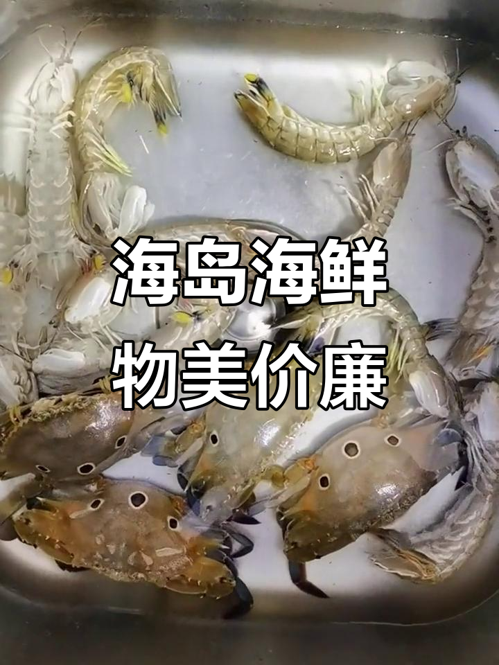 海南海鲜大揭秘:红鱼、鲍鱼、皮虾,价格超实惠