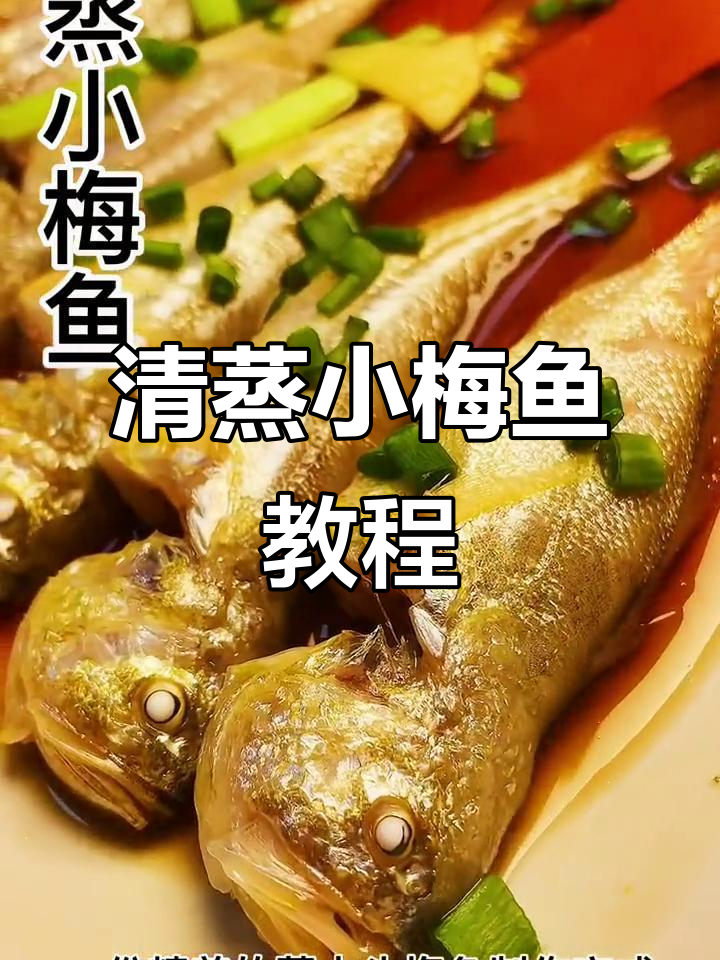 温州小梅鱼清蒸做法,教你如何做出鲜美黄梅童鱼