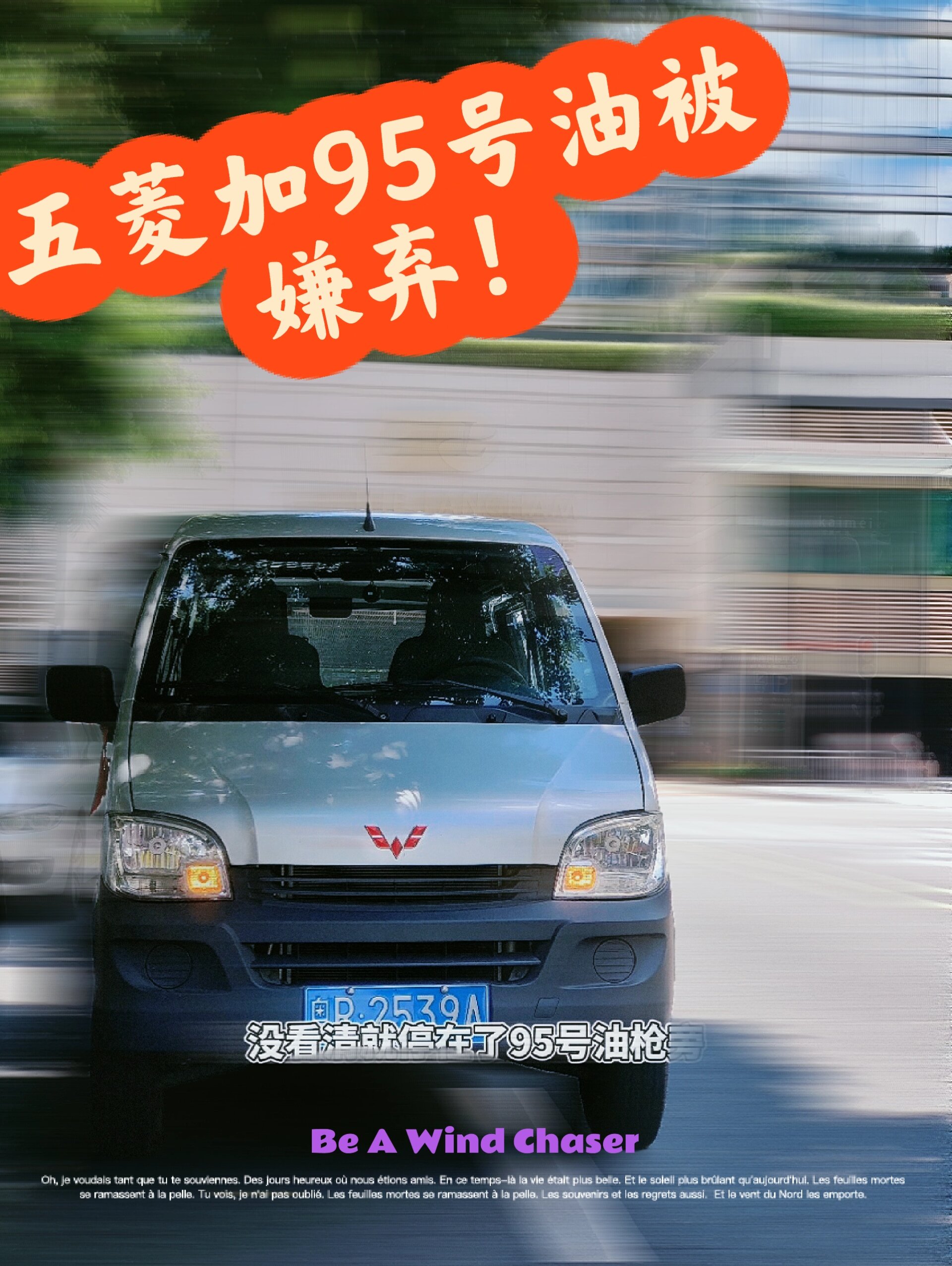 五菱之光不能加95号油吗?