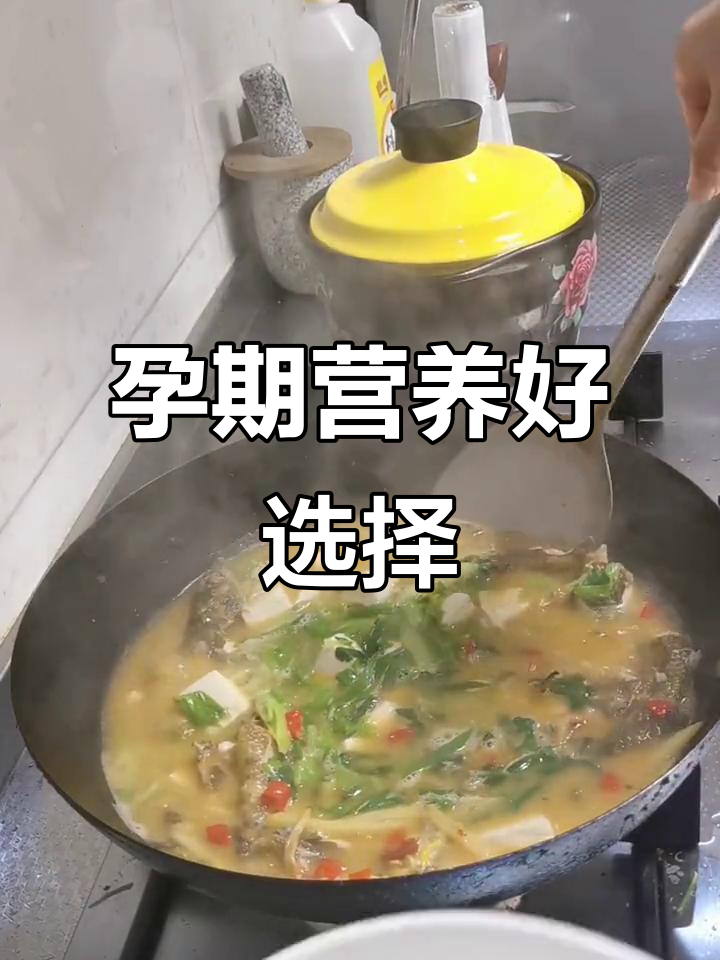 孕期营养升级,昂刺鱼豆腐汤完美补充蛋白质!