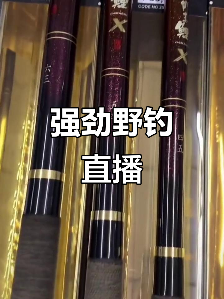 伽玛鲤5.4米，野钓强劲腰力，上午9点直播