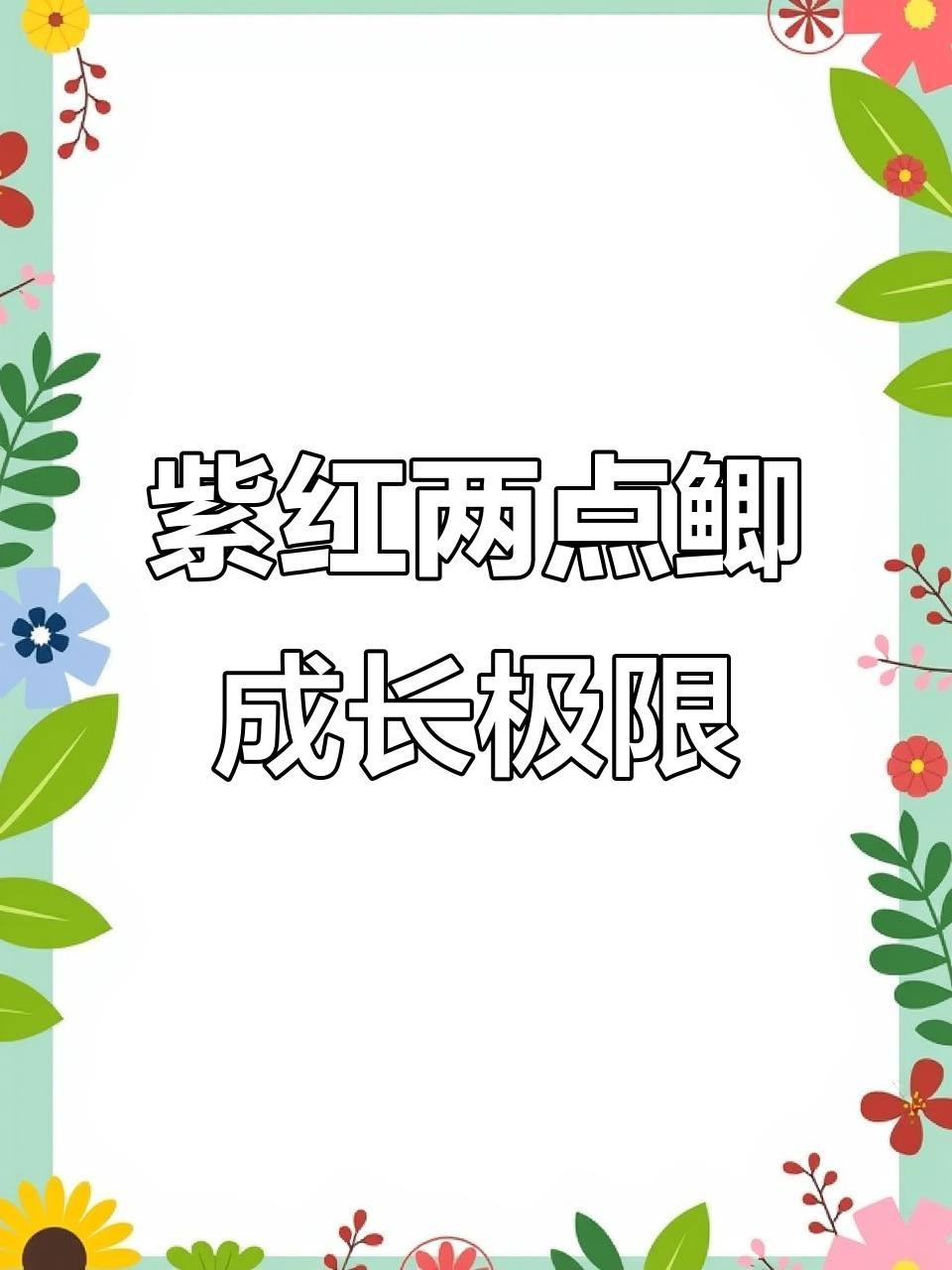 紫红两点鲫能长到多大?成鱼最大12公分,背鳍拉丝超美