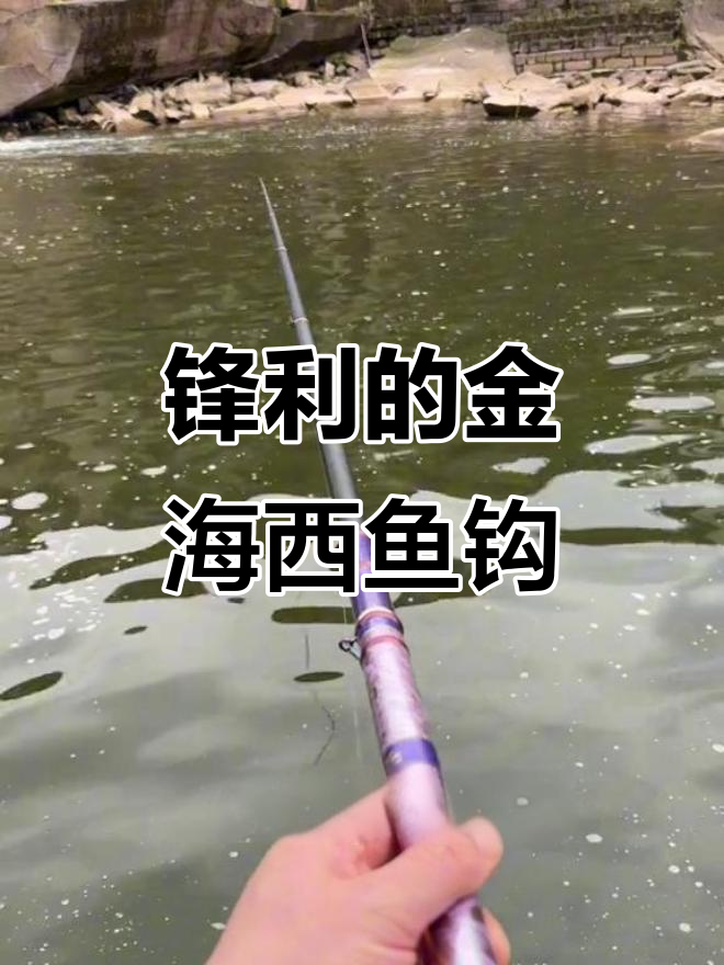 金海蜥鱼钩:锋利刺鱼,新手必备!