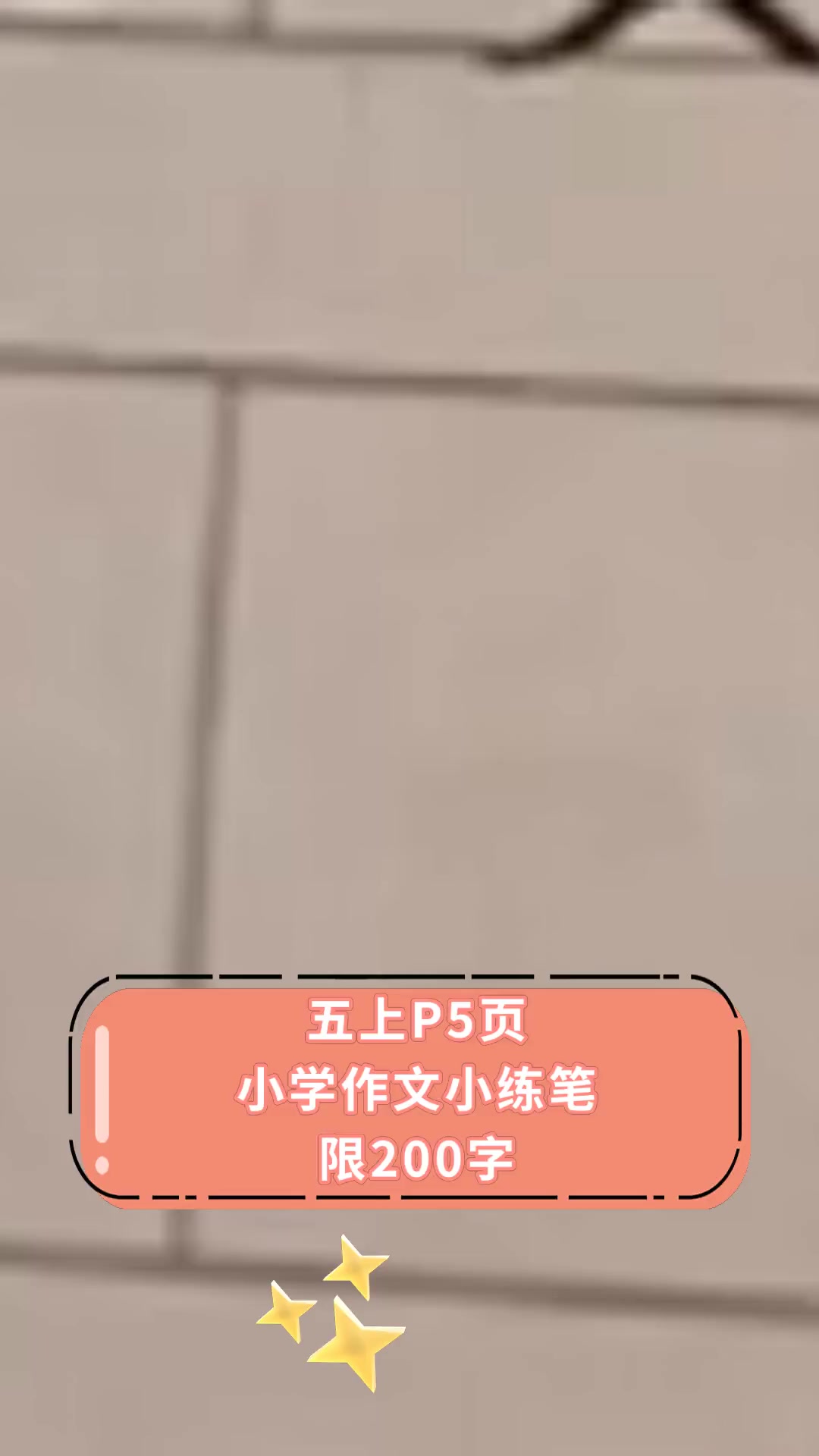 五上P5页小学作文小练笔限200字