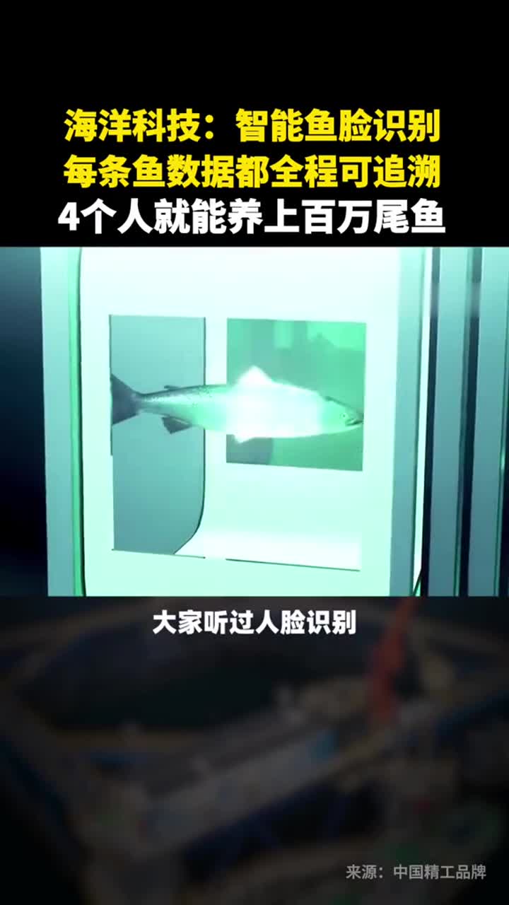 双目摄像机水下生物识别系统：分析鱼的长度、重量与健康状况