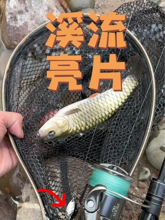 溪流路亚野钓军鱼马口假饵推荐!钨钢亮片!溪流钓 路亚装备 路亚马口 路亚军鱼 溪流马口 路