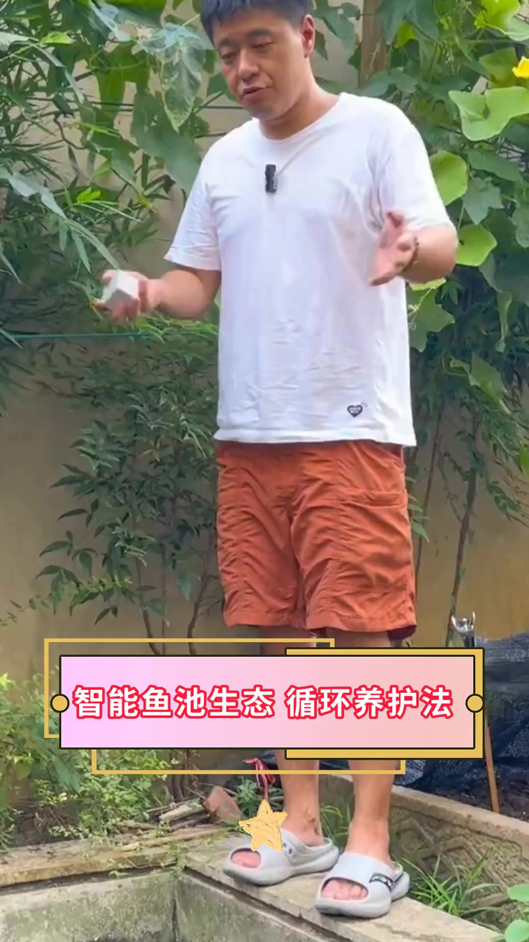 智能鱼池生态 循环养护法