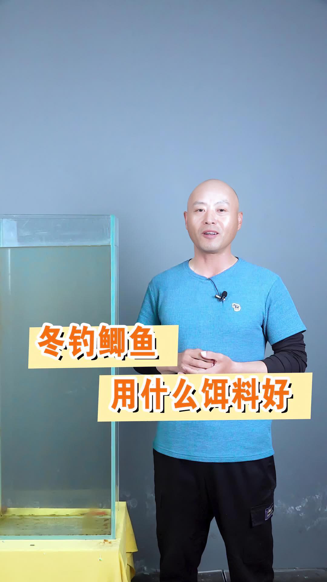 在自然水域冬钓鲫鱼,用什么饵料好!钓鱼 2022dou来钓鱼 入冬钓鱼指南 饵料窝料 do