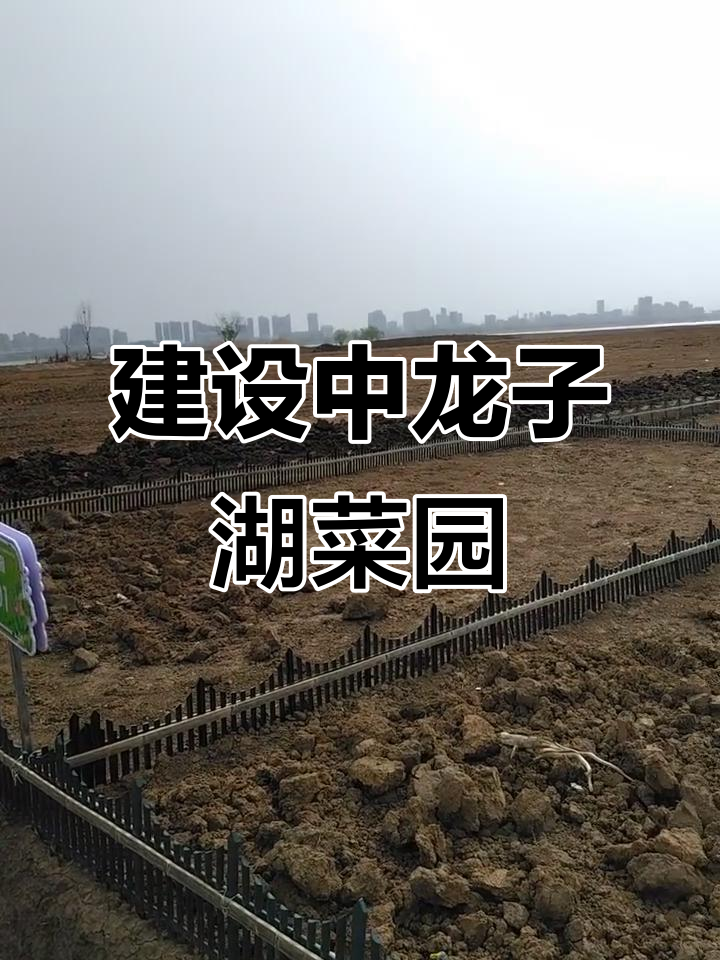 龙子湖西公园城市菜园建设进展，等你来体验！