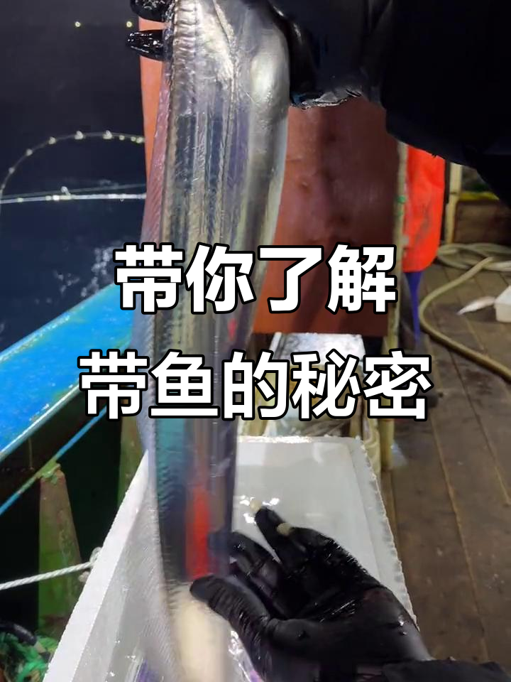 带鱼为何成群直立游泳？揭秘深海中的神奇生物