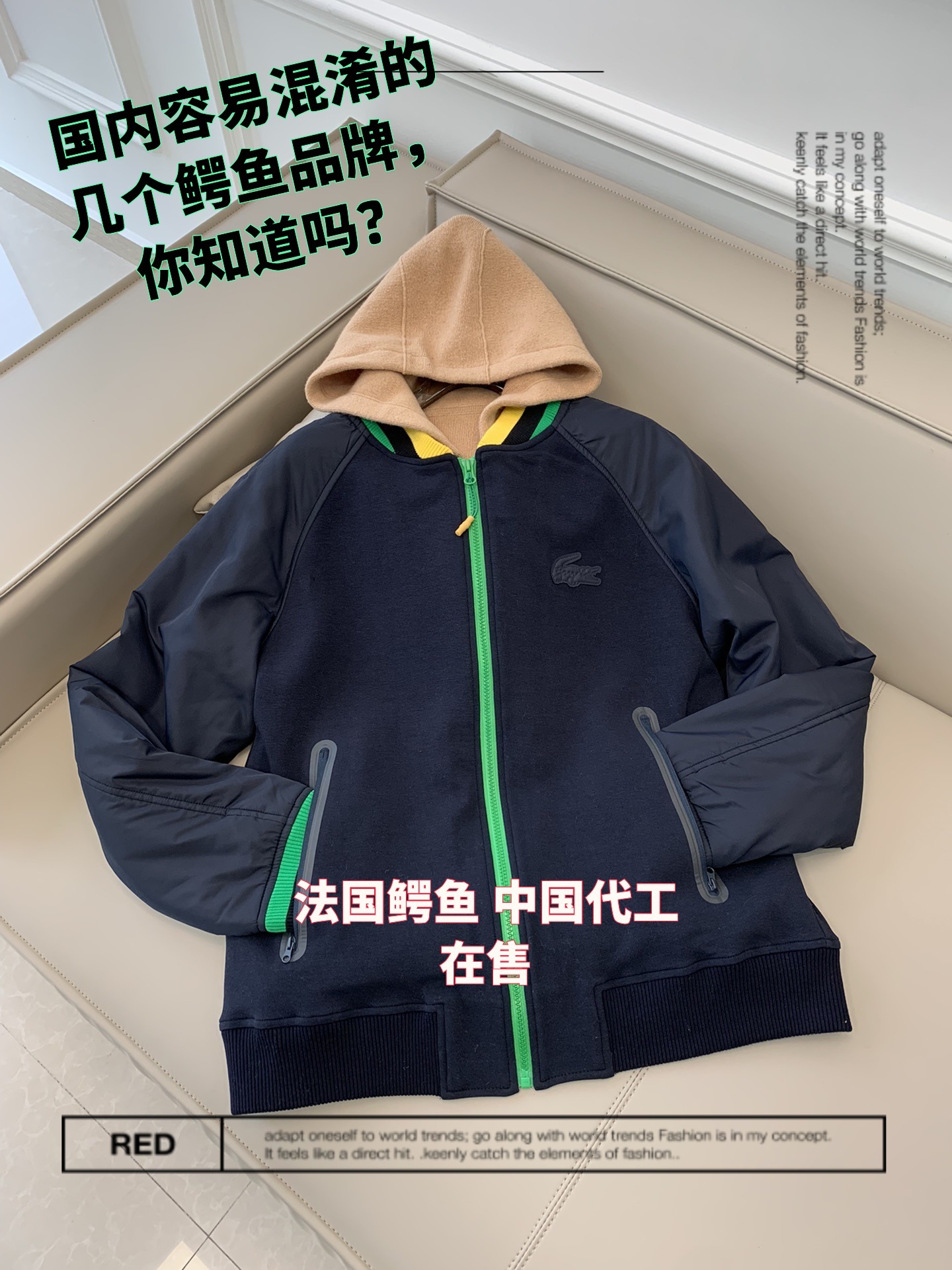 关于国内容易混淆的几个鳄鱼品牌的历史详解