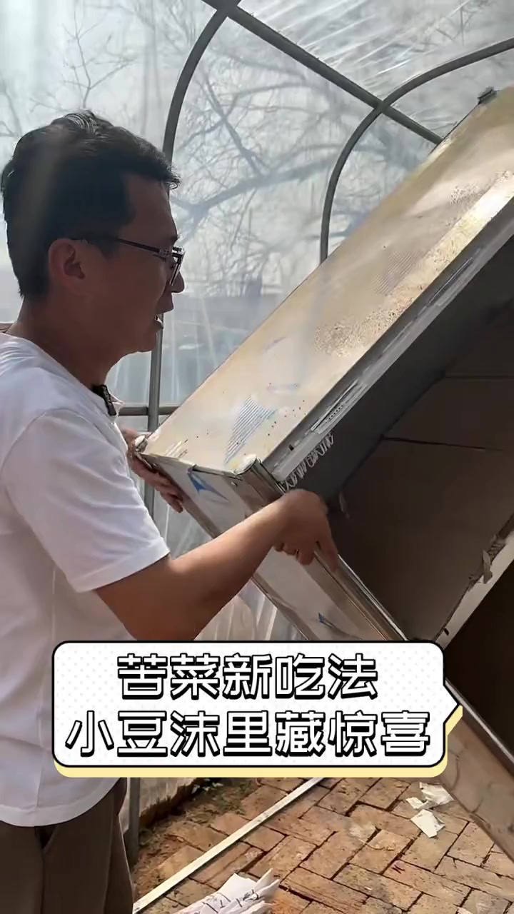 苦菜新吃法,小豆沫里藏惊喜