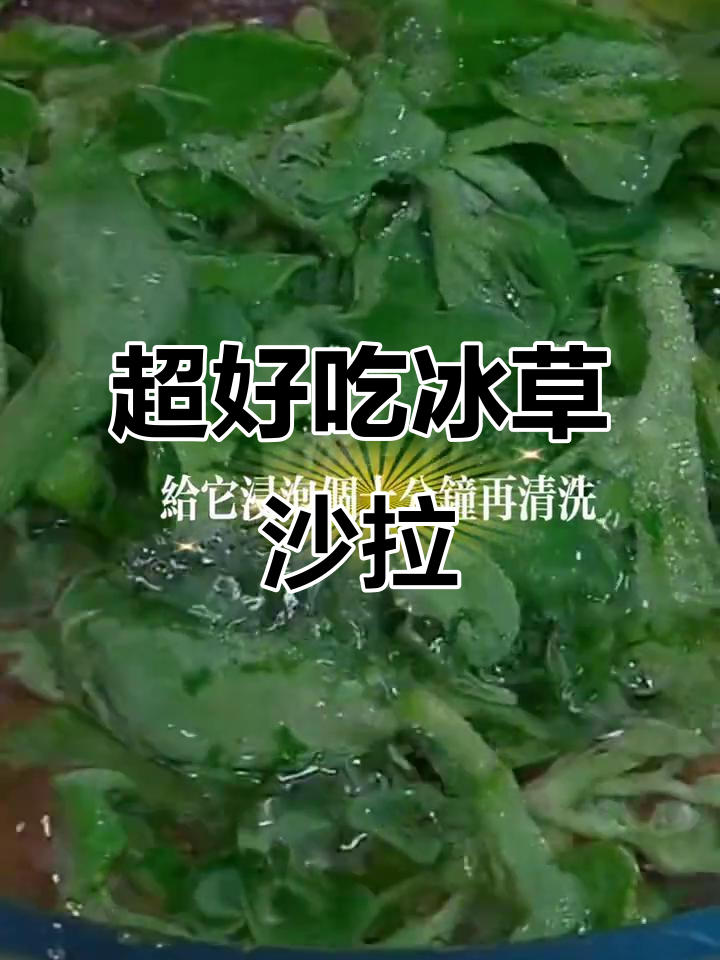 冰草沙拉做法超简单,清脆爽口又美味