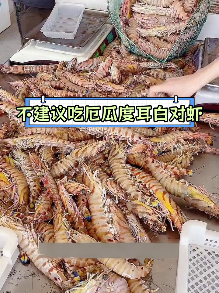 斑节虾与竹节虾的区别,选择更合适的海鲜