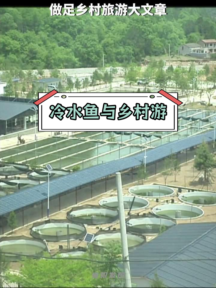 东岔镇:山水养鱼,乡村旅游兴旺