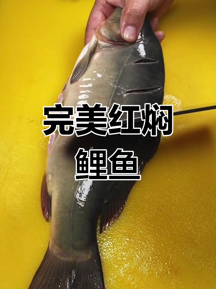 红焖鲤鱼家常做法,去腥技巧大公开