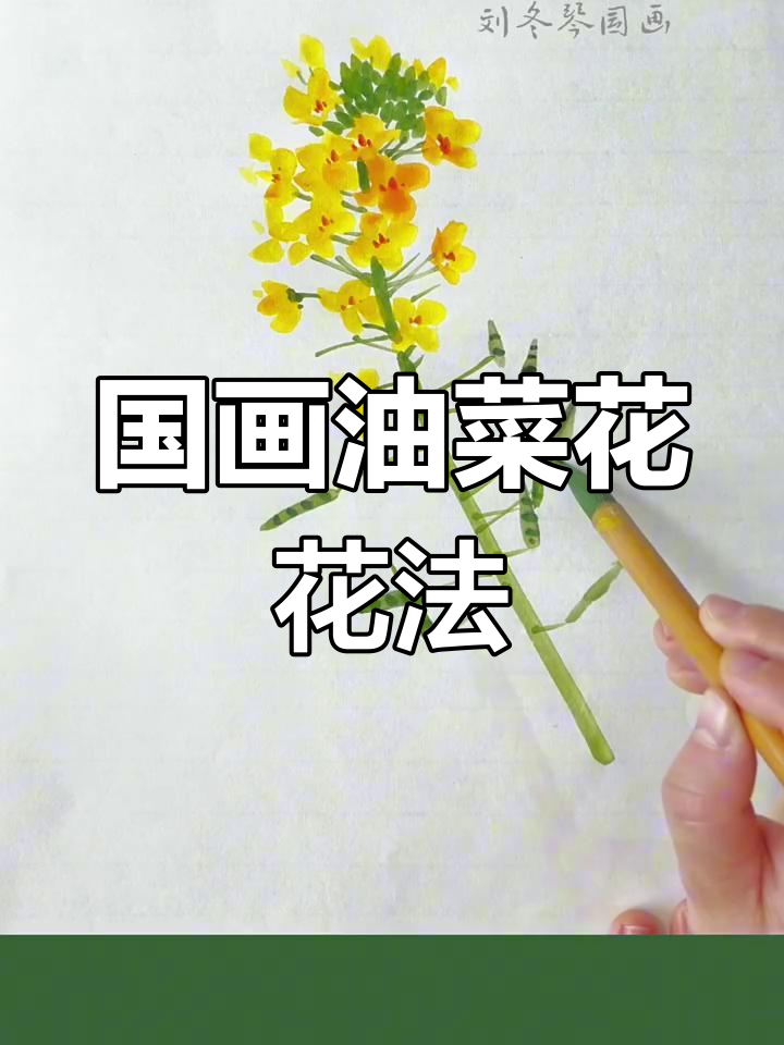油菜花国画技巧:从花瓣到花苞,层层叠加画出美丽花朵