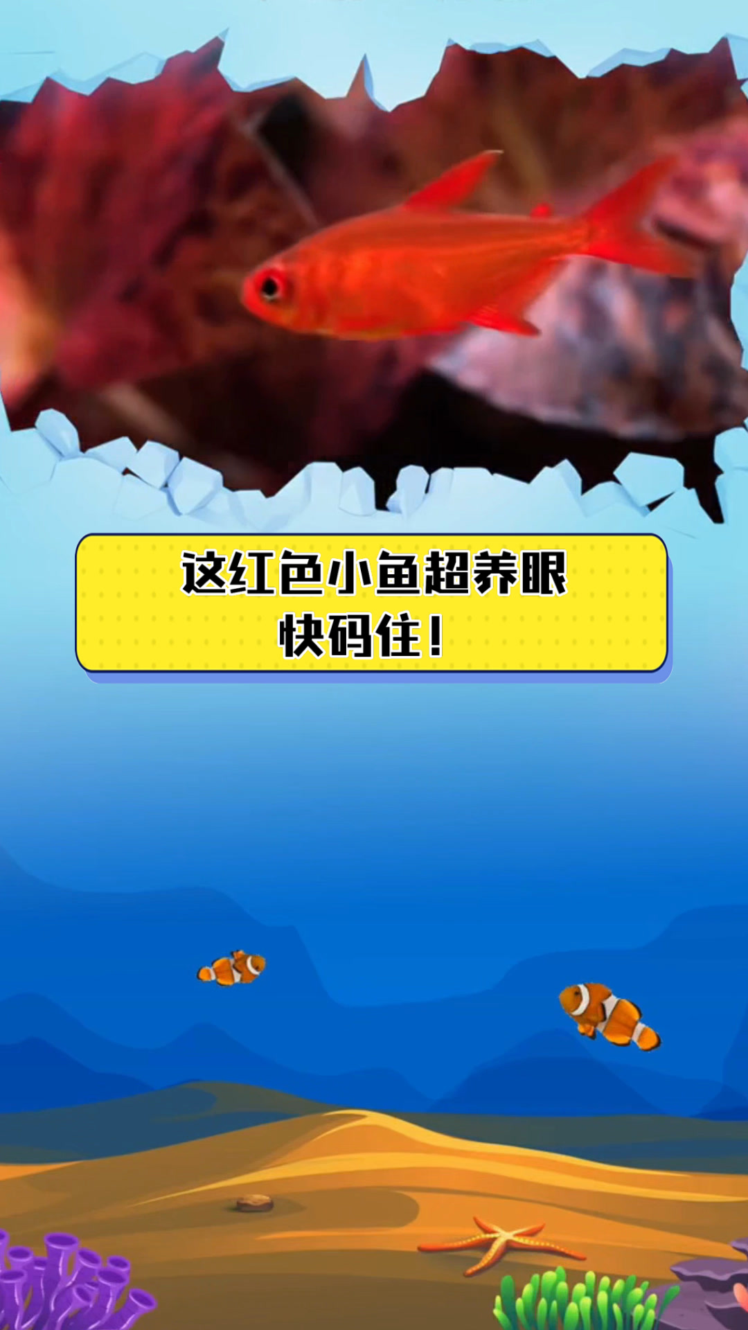这红色小鱼超养眼,快码住!