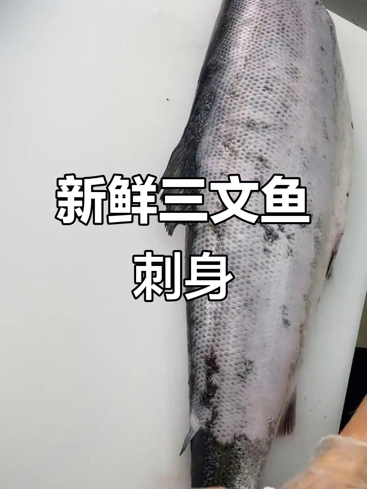 三文鱼刺身中段，大西洋鲑鱼的鲜美体验