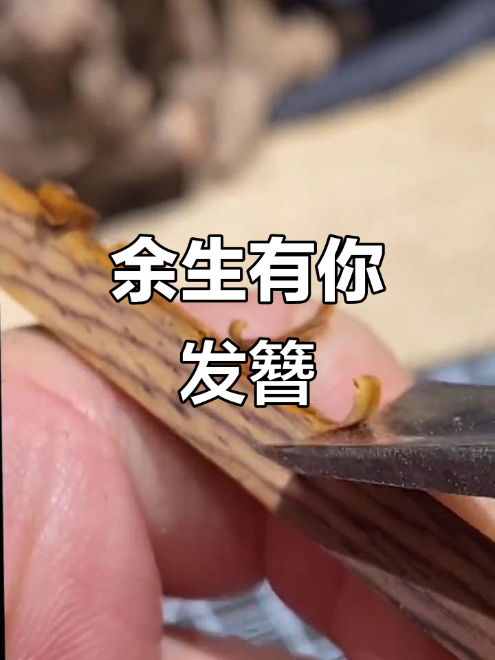 鱼尾发簪设计,闺蜜款来袭!余生有你与一路有你的完美搭配
